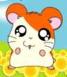 hamtaro.jpg